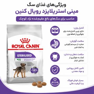 رویال سگ مینی استرلایز