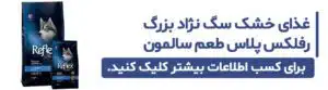 خرید غذای خشک سگ نژاد بزرگ رفلکس پلاس طعم سالمون