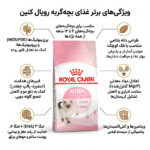 غذای بچه گربه رویال کنین