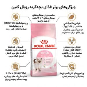 غذای بچه گربه رویال کنین