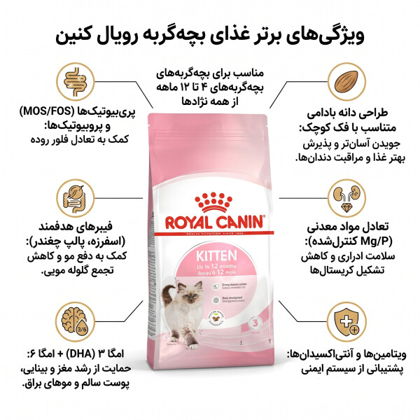 غذای بچه گربه رویال کنین