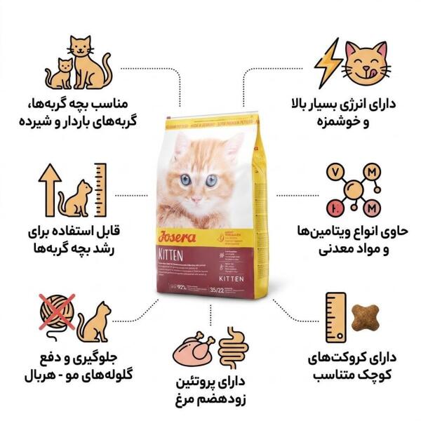 غذای بچه گربه کیتن