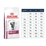 غذای گربه رویال کنین رنال سلکت