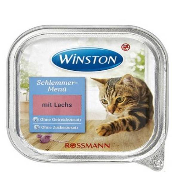 ووم گربه وینستون طعم ماهی سالمون