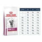 رویال رنال سلکت