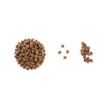 غذای خشک رویال کنین برای فاز دوم رشد بچه گربه (1 تا 4 ماهگی)
