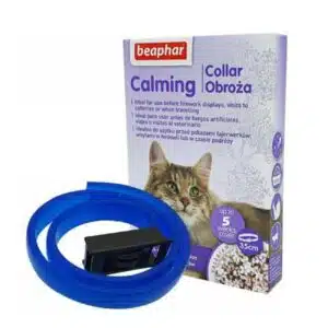 قلاده گربه بیفار