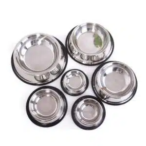 تنوع در ظروف غذای سگ با جنس استیل