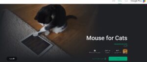 بازی گرفتن موش برای گربه