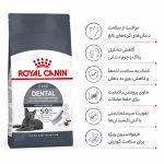 غذای دنتال کر رویال کنین