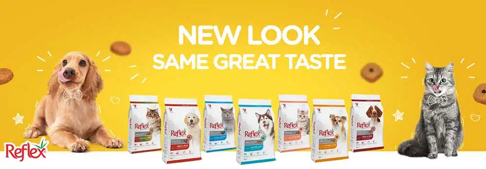 انواع غذای سگ و گربه رفلکس
