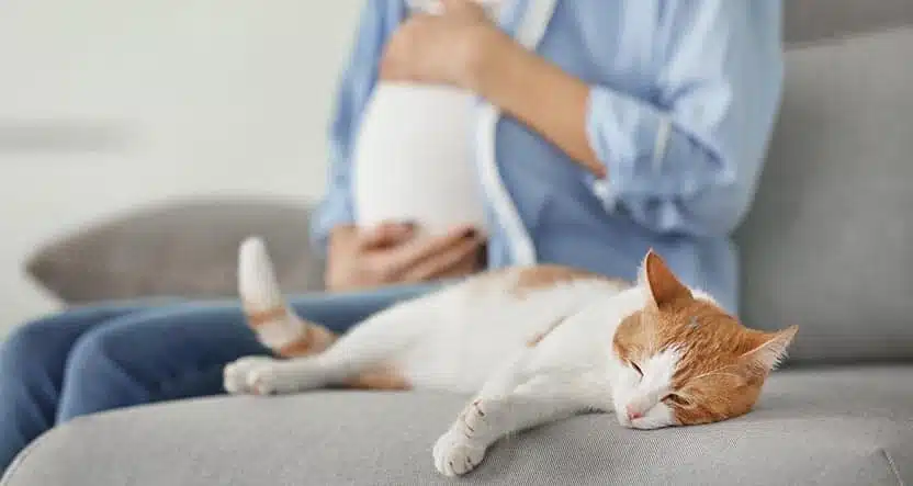 توکسوپلاسموز