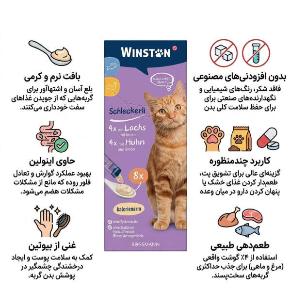 بستنی گربه وبینستون مرغ و ماهی