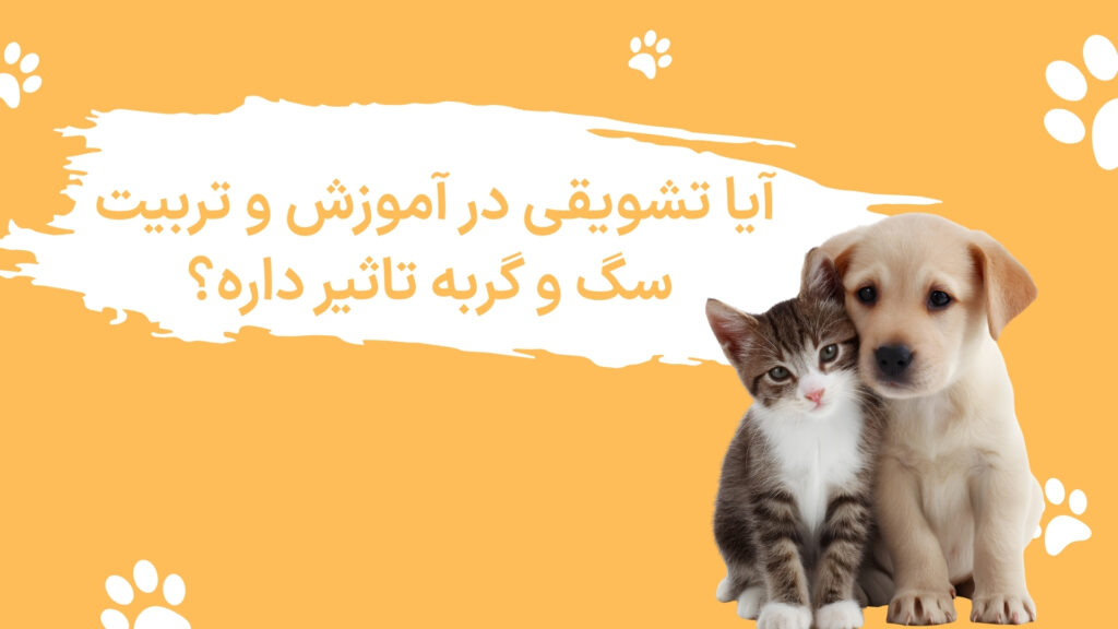 تشویقی در تربیت و آموزش