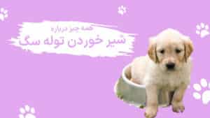 شیر خوردن توله سگ