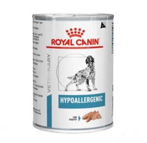 hypo dog