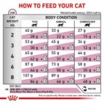 غذای گربه رنال ارلی رویال کنین _ Royalcanin Renal early