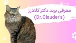 دکتر کلادرز