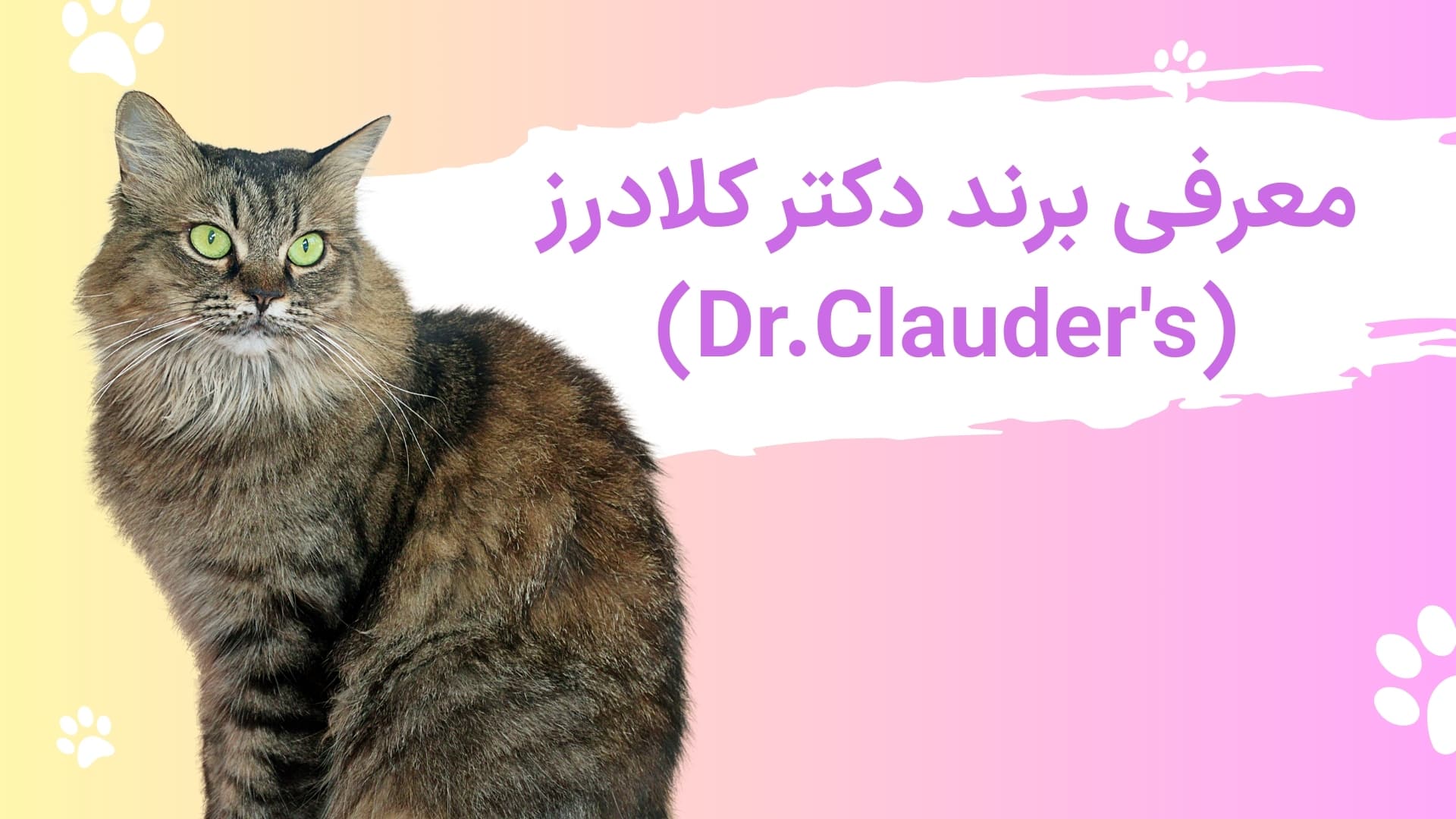 دکتر کلادرز
