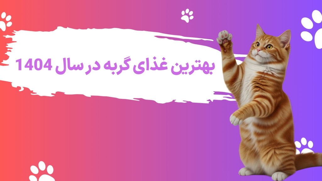 غذای گربه در سال 1404