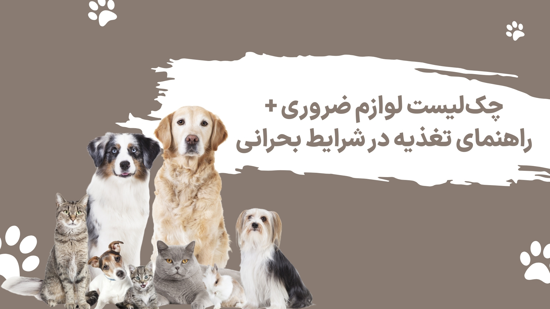 غذای پت در شرایط بحرانی