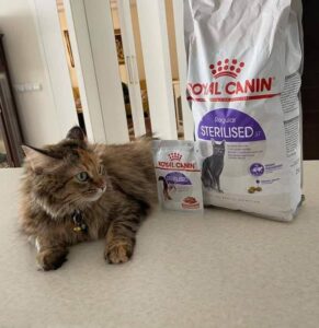 غذای گربه عقیم شده رویال کنین