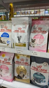 غذای خشک گربه رویال کنین