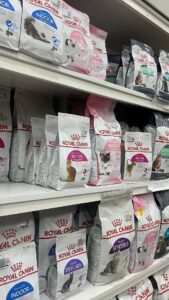 غذای گربه رویال کنین برای گربه ها