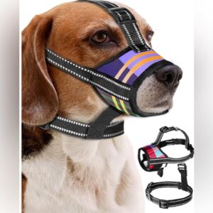 پوزه بند سگ