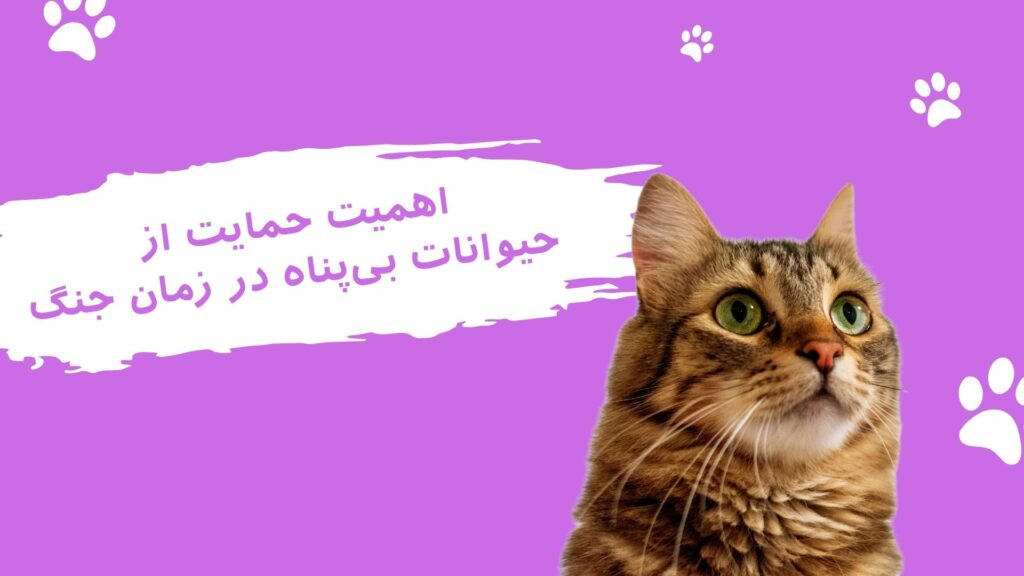 اهمیت حمایت از حیوانات بی پناه