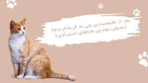 غذاهای گربه های عقیم شده