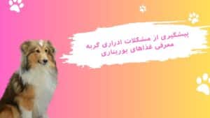 معرفی غذاهای مشکلات ادراری