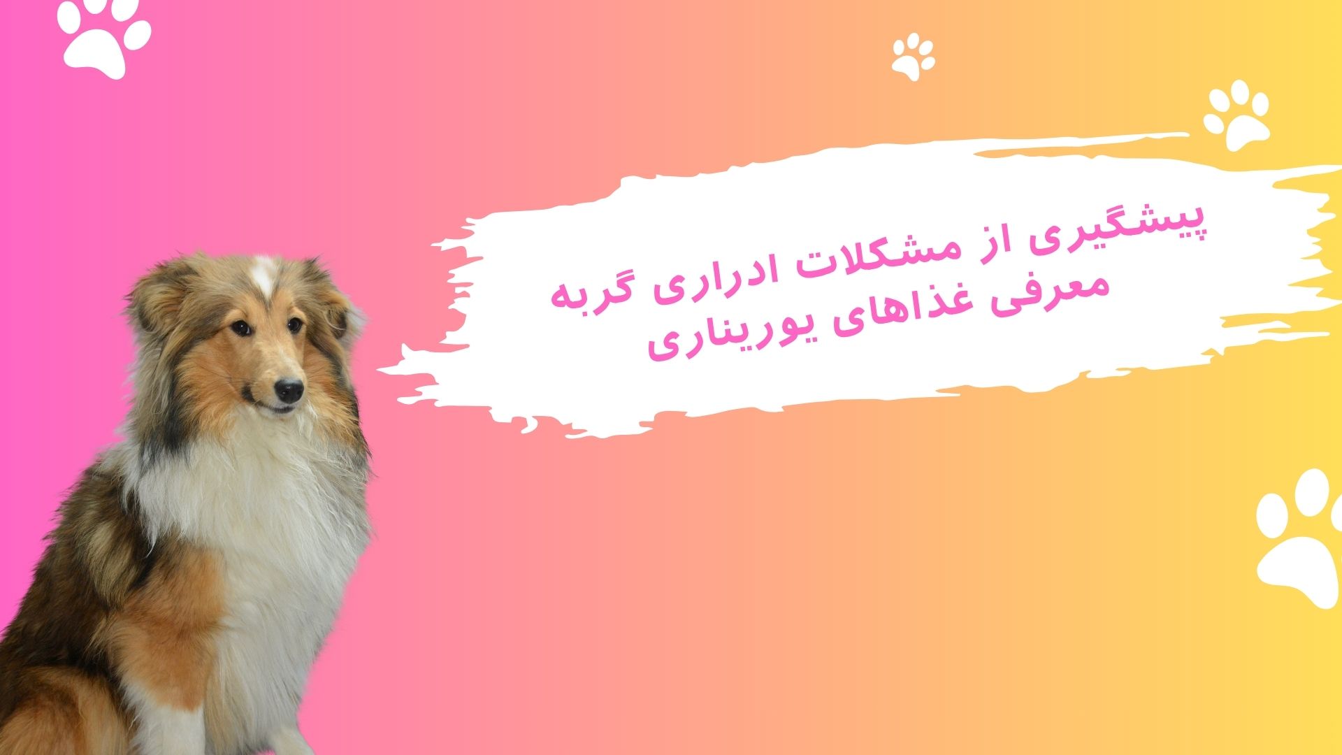 معرفی غذاهای مشکلات ادراری