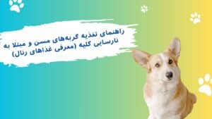 غذای گربه های مسن