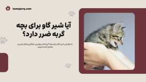 آیا شیر گاو برای بچه گربه ضرر دارد