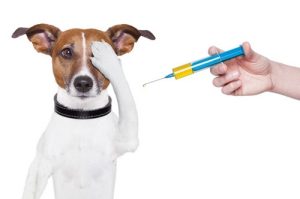 واکسیناسیون توله سگ